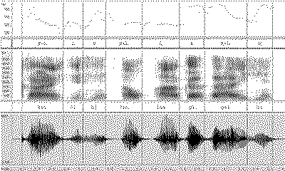 Recording of a conversation between Pirahãs. The Pirahã people can communicate through humming, singing and whistling information.